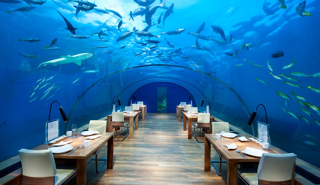 ithaa undersea restaurant 1063x614